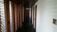 Tranquility Estate Bed And Breakfast Kingston Bagian luar foto